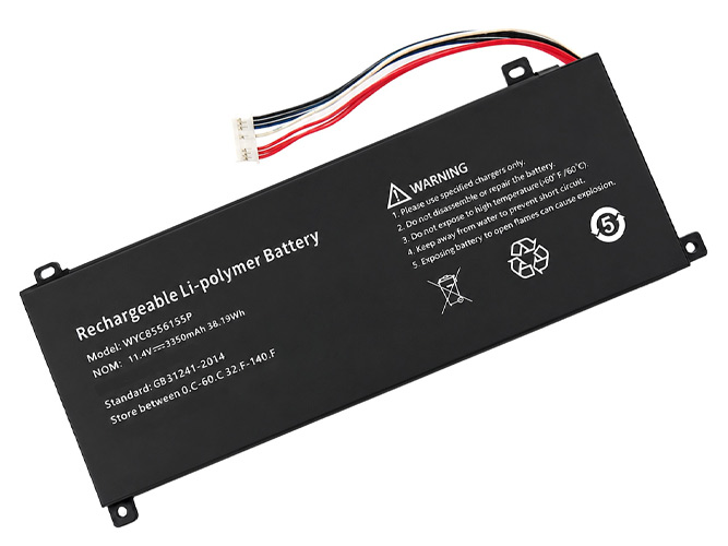 Battery for AolsteCell WYC8556155P