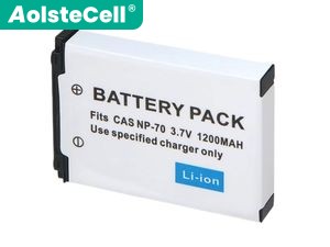 Battery for Casio Exilim Zoom EX-Z250