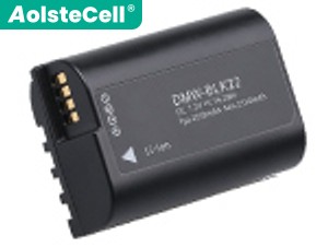 Battery for Panasonic DC-S5M2