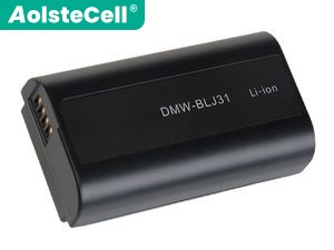 Battery for Panasonic DC-S1H