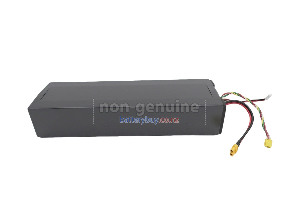 replacement Segway Ninebot H1319-H battery