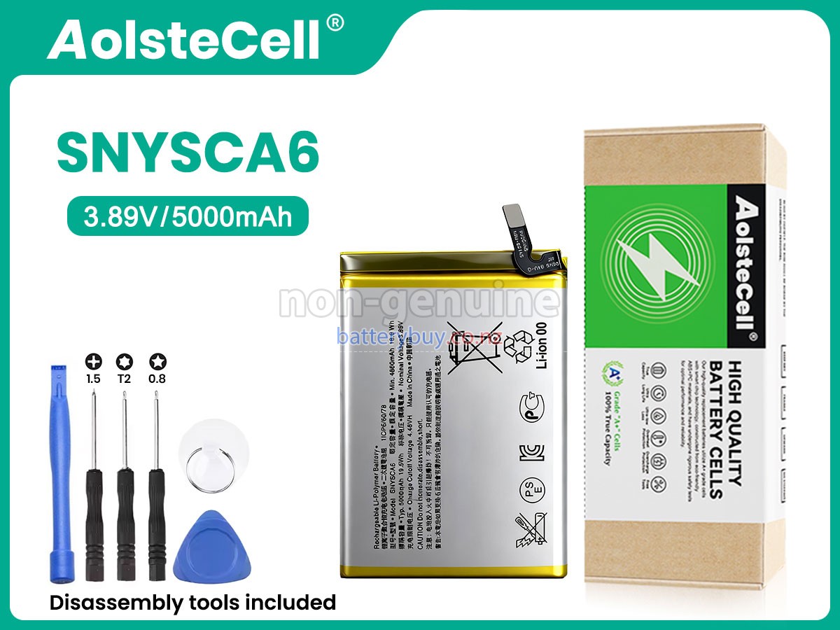 replacement Sony SNYSCA6 battery
